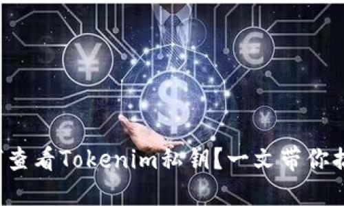 如何查看Tokenim私钥？一文带你搞懂！