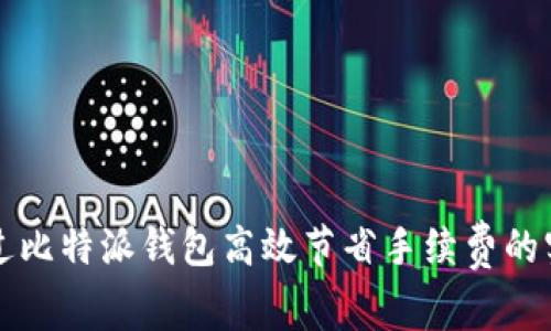 如何通过比特派钱包高效节省手续费的实用指南