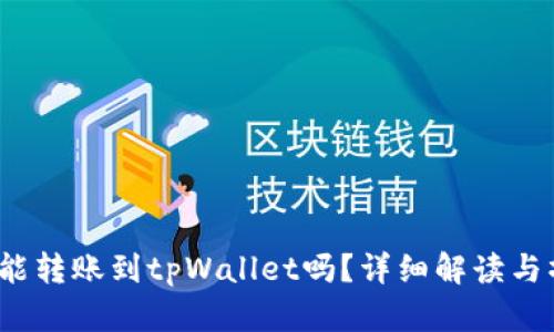 TRC-20能转账到tpWallet吗？详细解读与操作指南