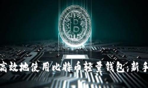 如何安全高效地使用比特币轻量钱包:新手必看攻略
