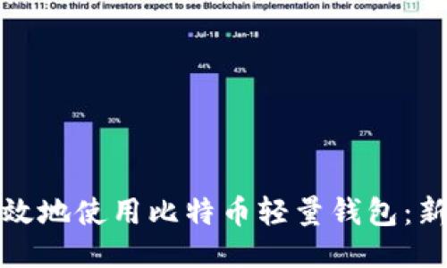 如何安全高效地使用比特币轻量钱包:新手必看攻略