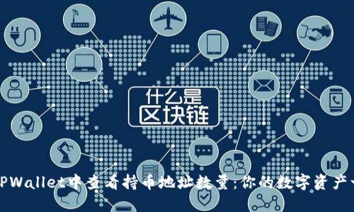 如何在TPWallet中查看持币地址数量:你的数字资产一目了然