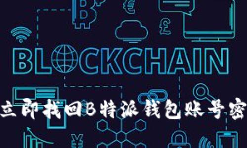 2025必看：立即找回B特派钱包账号密码的全攻略