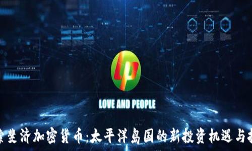   
探索斐济加密货币：太平洋岛国的新投资机遇与挑战