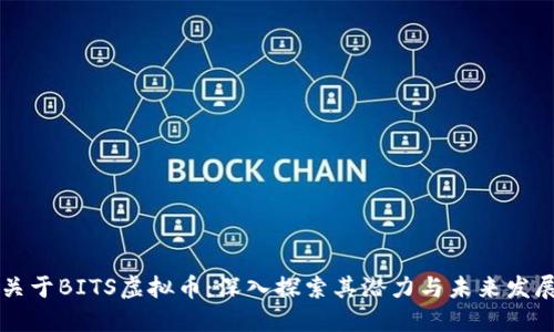 关于BITS虚拟币：深入探索其潜力与未来发展
