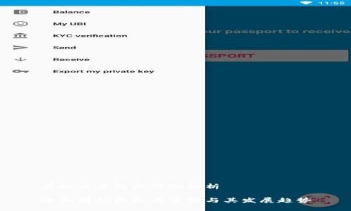 虚拟币主链的深入解析

全面解析虚拟币主链与其发展趋势
