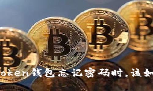 当你的Token钱包忘记密码时，该如何找回？