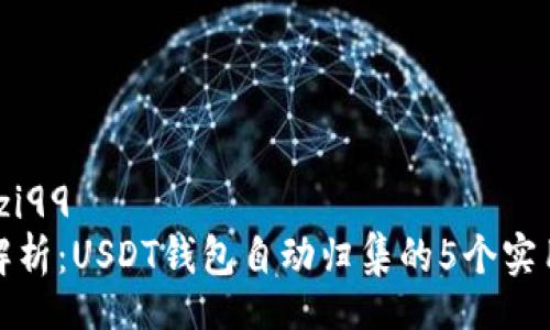 yuanzi99
深度解析：USDT钱包自动归集的5个实用技巧