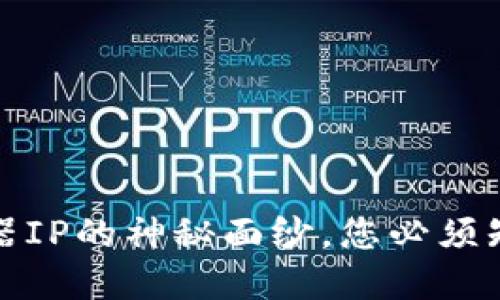 揭开虚拟币钱包服务器IP的神秘面纱，您必须知道的安全与隐私隐患