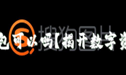 比特币不存钱包可以吗？揭开数字资产存储的真相