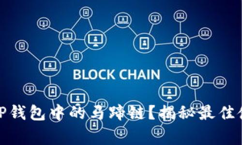 : 如何选择和使用TP钱包中的马蹄链？揭秘最佳使用技巧与注意事项