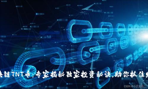 硅谷区块链TNT币：专家揭秘独家投资秘诀，助你抓住财富机会