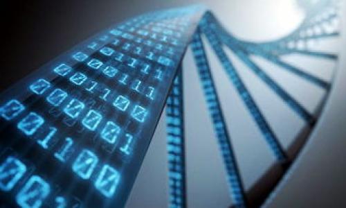 Certainly! Here’s a self-introduction template for a Web3 company in English:

---

**[Your Company Name] - Pioneering the Future of Decentralization**

**Introduction**

Welcome to [Your Company Name]! We are at the forefront of the Web3 revolution, dedicated to harnessing the power of blockchain technology to create a more decentralized and user-centric internet. Our mission is to empower individuals and communities through innovative solutions that promote transparency, security, and autonomy.

**Who We Are**

Founded in [year], [Your Company Name] was established by a group of passionate innovators, developers, and industry experts who believe in the transformative potential of Web3 technologies. Our team combines deep expertise in blockchain, software development, and user experience design, ensuring that we build solutions that are not only technologically advanced but also user-friendly and accessible.

**What We Do**

At [Your Company Name], we focus on several key areas within the Web3 ecosystem:

1. **Decentralized Applications (dApps):** We develop cutting-edge dApps that allow users to interact with blockchain networks in a seamless and intuitive manner. Our applications prioritize user experience while maintaining the highest standards of security and privacy.

2. **Smart Contracts:** Our smart contracts are designed to automate processes and facilitate trustless transactions, reducing the need for intermediaries. This innovation streamlines operations for businesses and individuals alike.

3. **Blockchain Infrastructure:** We provide the necessary infrastructure for Web3 projects by offering reliable and scalable blockchain solutions. Our infrastructure supports multiple protocols and helps businesses transition smoothly into the decentralized web.

4. **Education 
                                </div>
                            </div>
                        </div>
                        <div class=