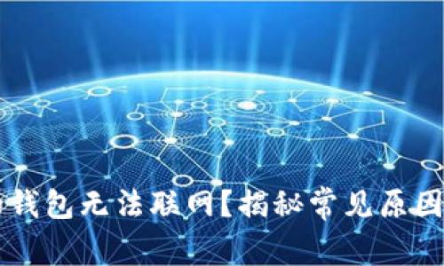 为什么我的钱包无法联网？揭秘常见原因与解决方法