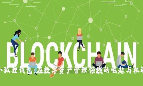 小狐狸钱包：在数字资产管理领域的崛起与机遇