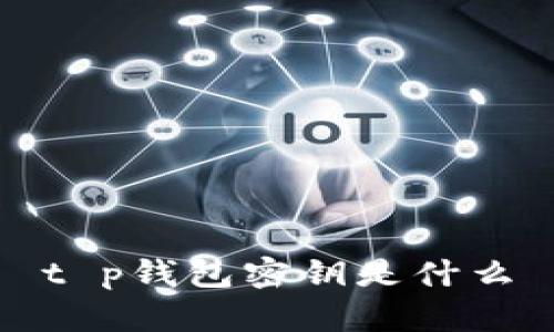 t p钱包密钥是什么
