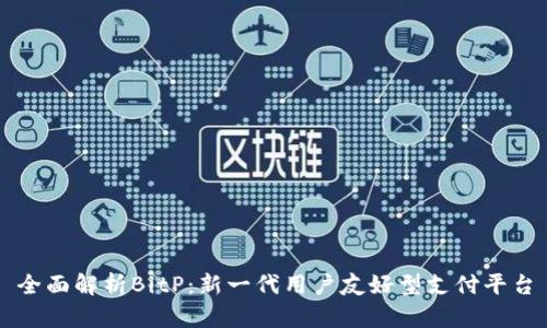 全面解析BitP：新一代用户友好型支付平台