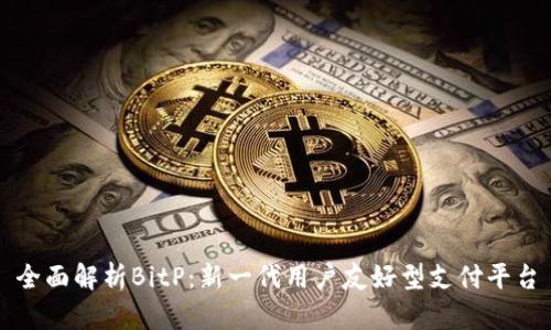 全面解析BitP：新一代用户友好型支付平台