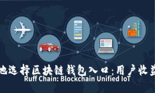 如何安全有效地选择区块链钱包入口：用户收益与价值全解析
