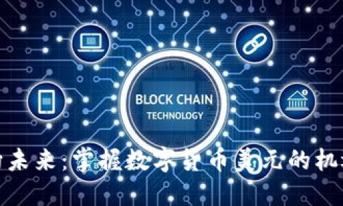 加速迈向未来：掌握数字货币美元的机遇与挑战