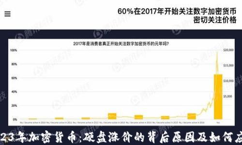 
2023年加密货币：硬盘涨价的背后原因及如何应对