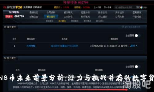 BNB币未来前景分析：潜力与挑战并存的数字货币