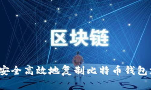 如何安全高效地复制比特币钱包支付？