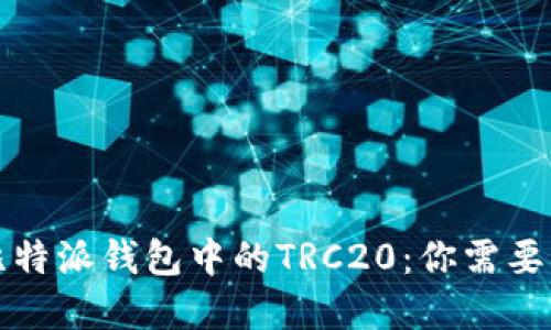 深入了解比特派钱包中的TRC20：你需要知道的一切