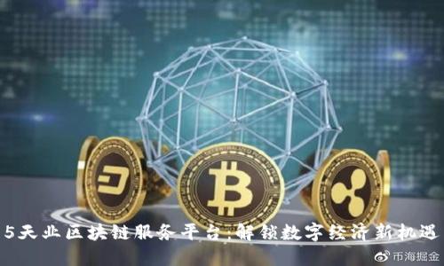 5天业区块链服务平台：解锁数字经济新机遇