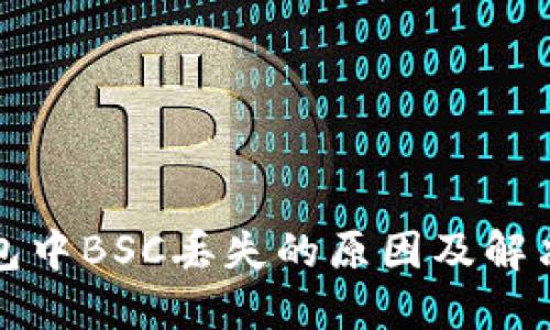 TP钱包中BSC丢失的原因及解决办法