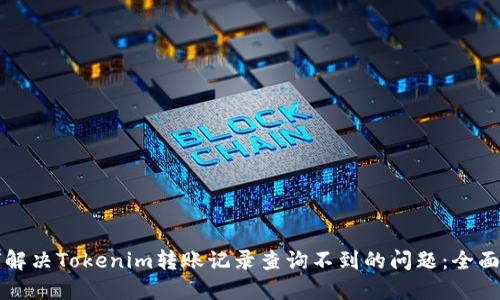 如何解决Tokenim转账记录查询不到的问题:全面指南