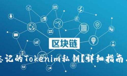 如何找回忘记的Tokenim私钥?详细指南与解决方案