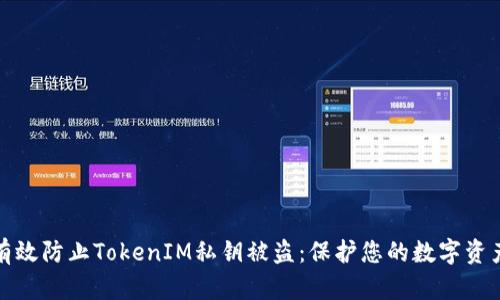 如何有效防止TokenIM私钥被盗:保护您的数字资产安全
