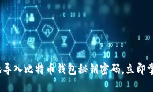 2025必看：如何安全地导入比特币钱包秘钥密码，立即掌握保护您的资产技巧！