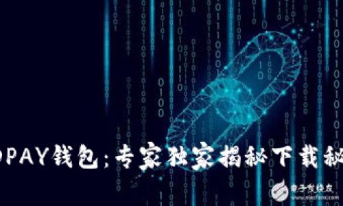 KDPAY钱包：专家独家揭秘下载秘诀