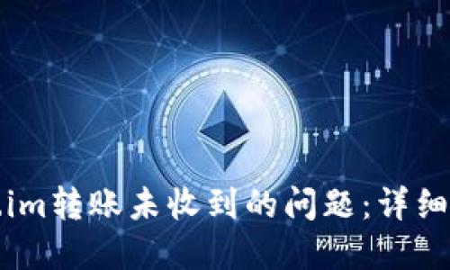 如何解决Token.im转账未收到的问题：详细指南与实用技巧