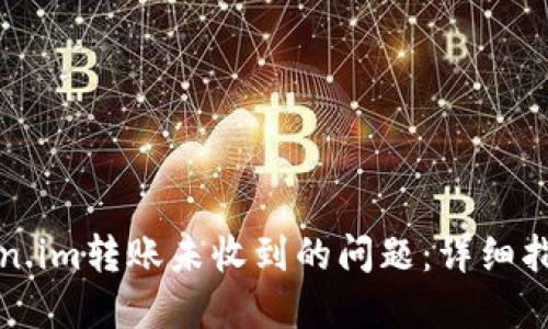如何解决Token.im转账未收到的问题：详细指南与实用技巧