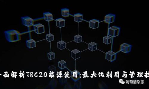 全面解析TRC20能源使用：最大化利用与管理技巧