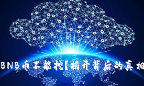 为什么BNB币不能挖？揭开背后的真相与风险