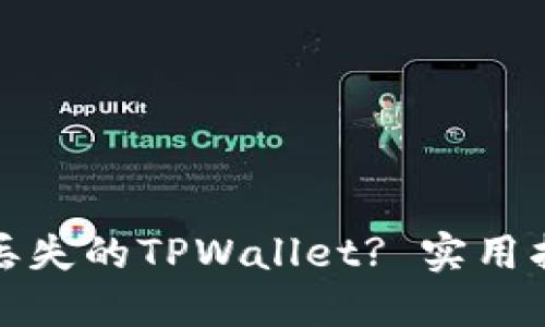 如何找回丢失的TPWallet? 实用指南与建议