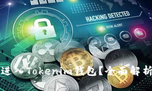 狗狗币能否进入Tokenim钱包？全面解析与实用指南