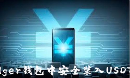 
如何在Ledger钱包中安全装入USDT：全面指南