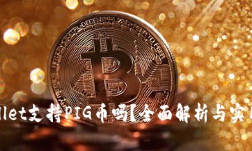 tpwallet支持PIG币吗?全面解析与实用指南