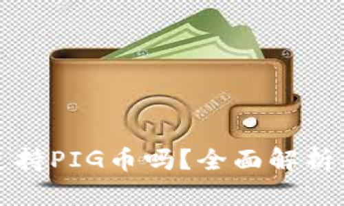 tpwallet支持PIG币吗?全面解析与实用指南