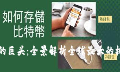 加密货币领域的巨头：全景解析全球最大的机构与其影响力