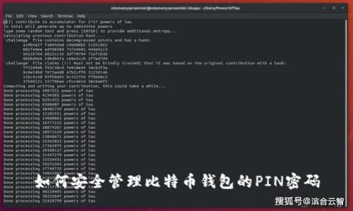 如何安全管理比特币钱包的PIN密码