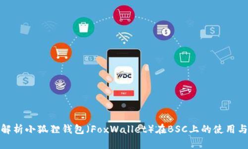 全面解析小狐狸钱包（FoxWallet）在BSC上的使用与优势