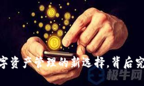 51token钱包：数字资产管理的新选择，背后究竟藏着什么秘密？