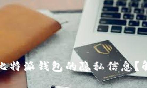 如何轻松查看比特派钱包的隐私信息？解析与实用技巧