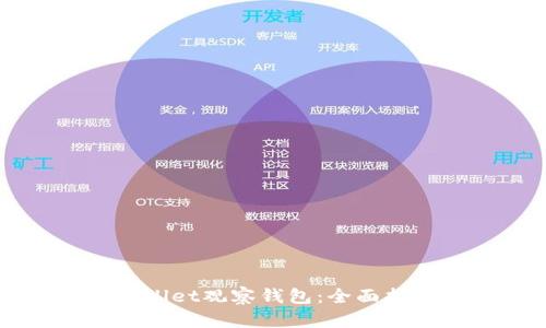 如何使用TPWallet观察钱包:全面指南与实用技巧